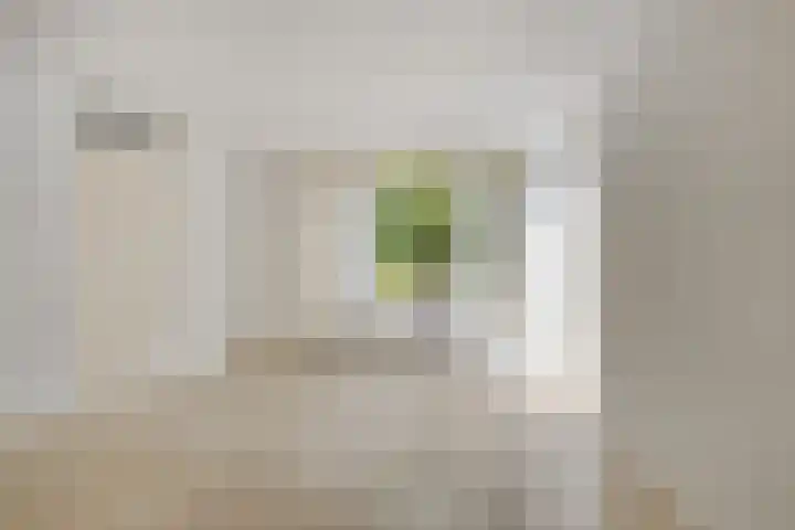 Locatellistraat 23 Tilburg thumbnail 12