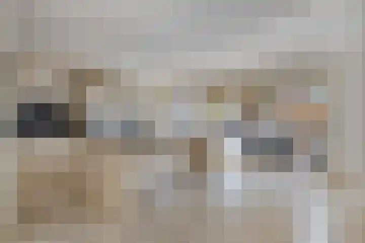 Locatellistraat 23 Tilburg thumbnail 13