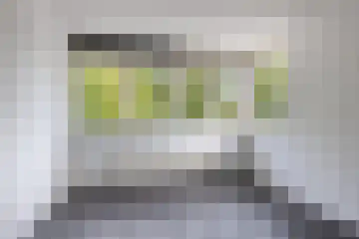 Locatellistraat 23 Tilburg thumbnail 20