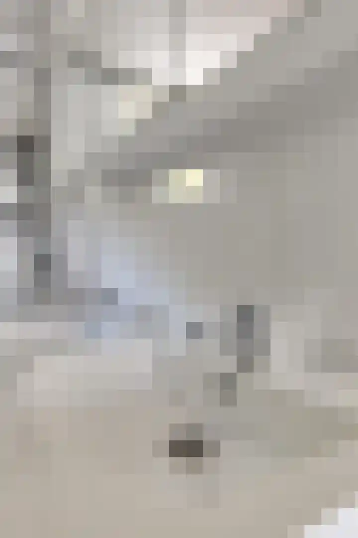 Locatellistraat 23 Tilburg thumbnail 24