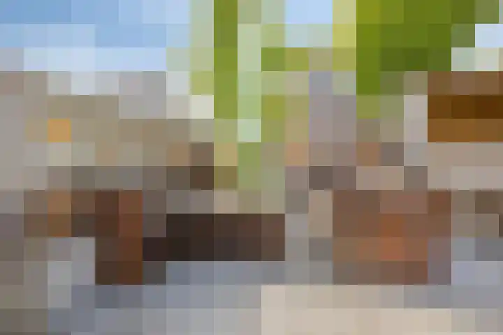 Locatellistraat 23 Tilburg thumbnail 35