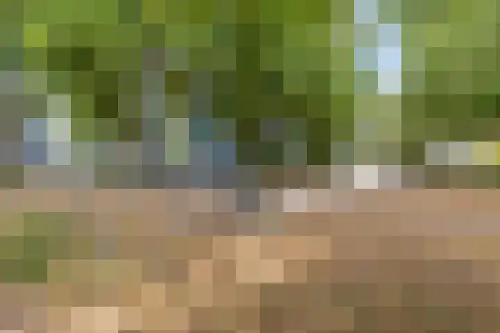 Locatellistraat 23 Tilburg thumbnail 41