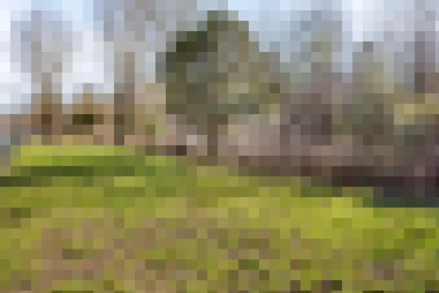 Locatellistraat 30 Eindhoven thumbnail 36