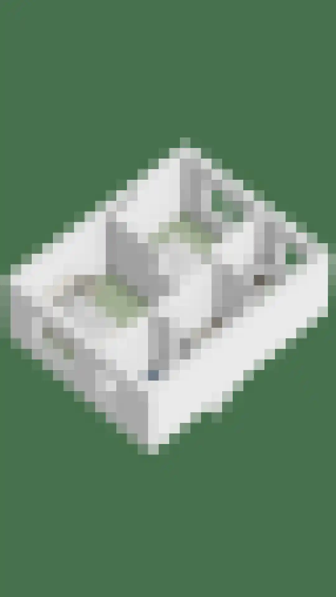 Locatellistraat 30 Eindhoven thumbnail 41