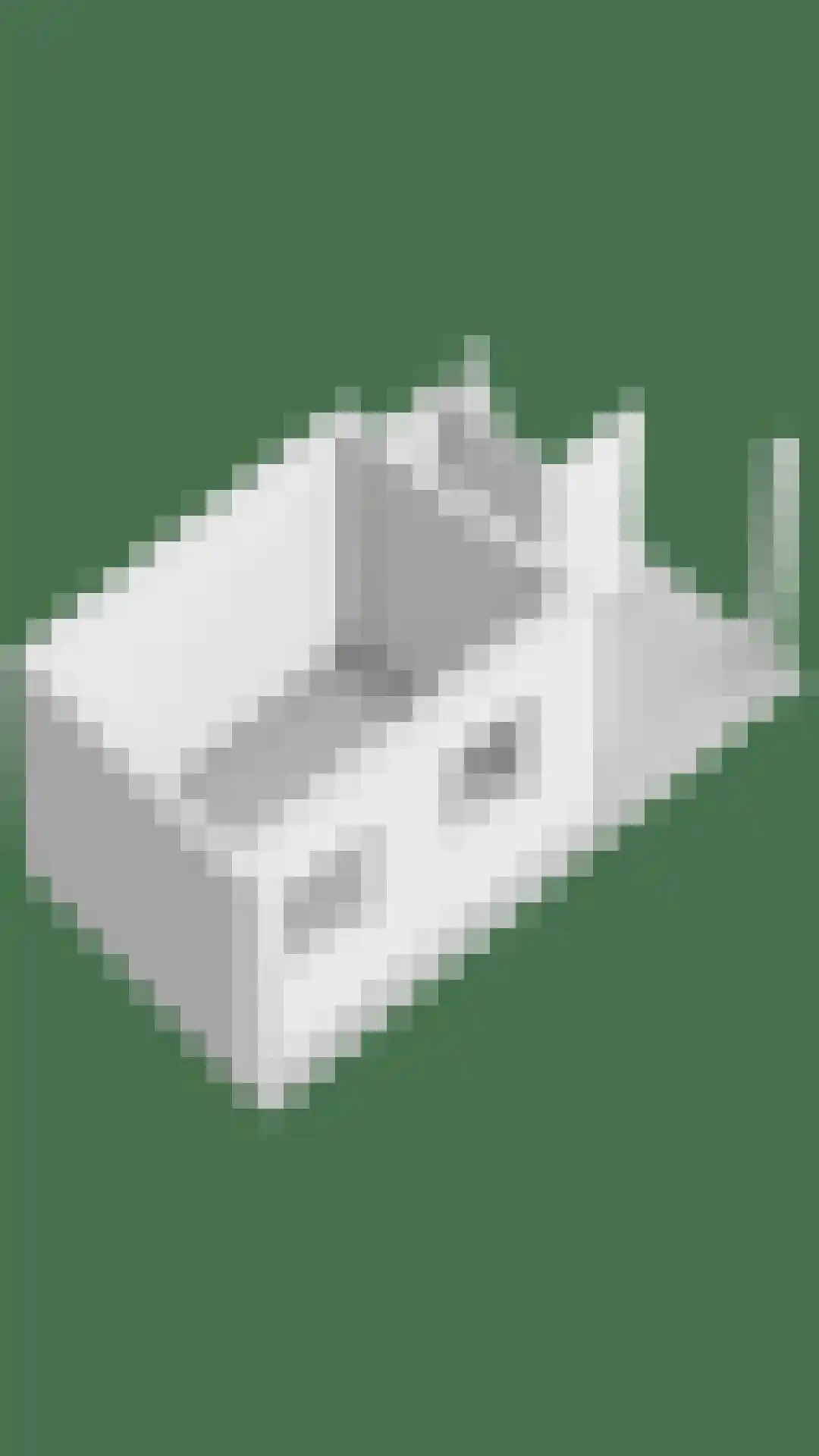 Locatellistraat 30 Eindhoven thumbnail 45