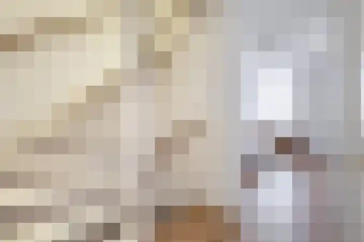 Locatellistraat 4 Eindhoven thumbnail 19