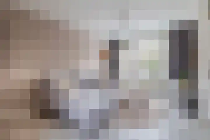 Locatellistraat 4 Eindhoven thumbnail 8