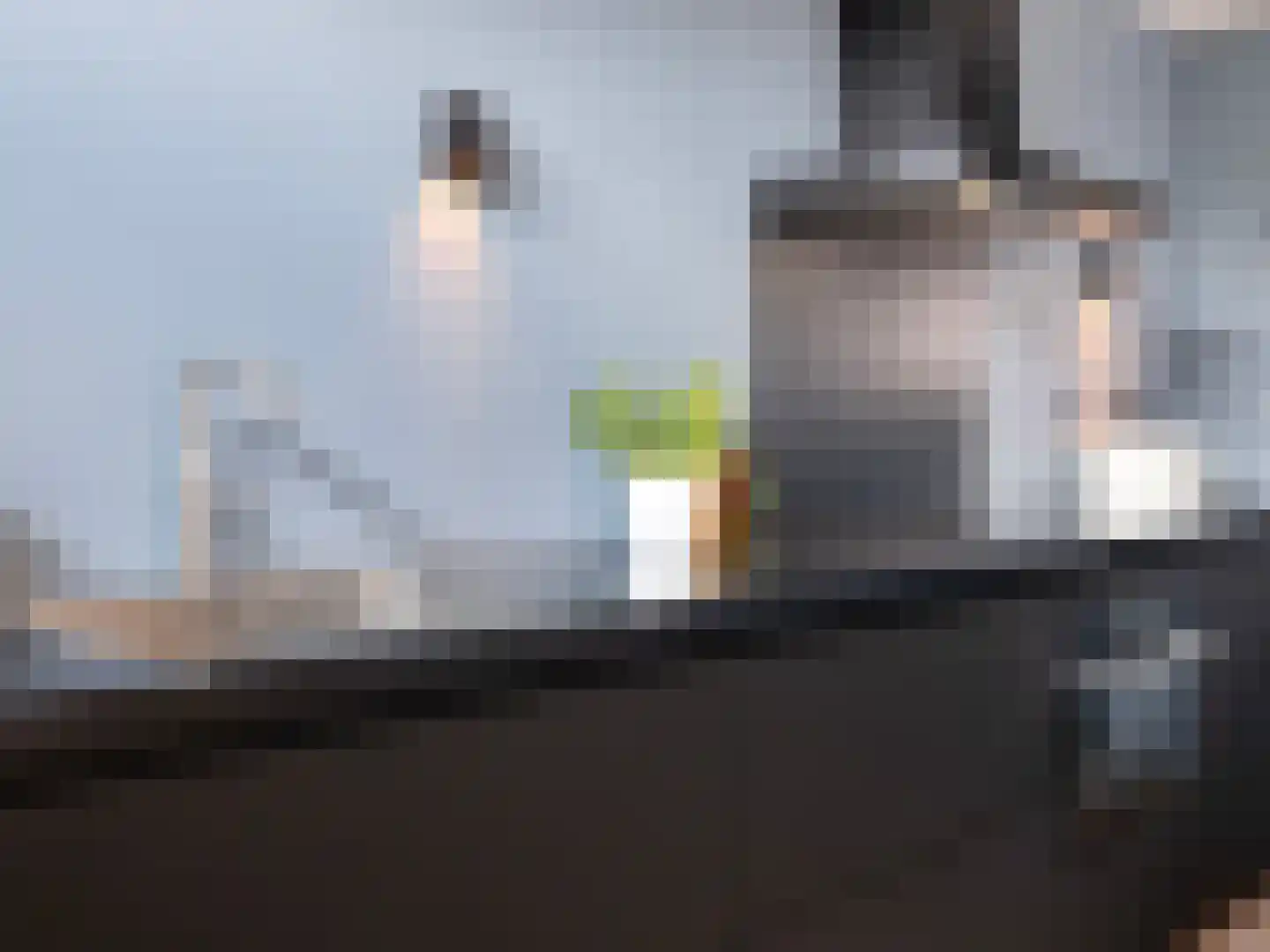 Lochemseberg 21 De Meern thumbnail 19