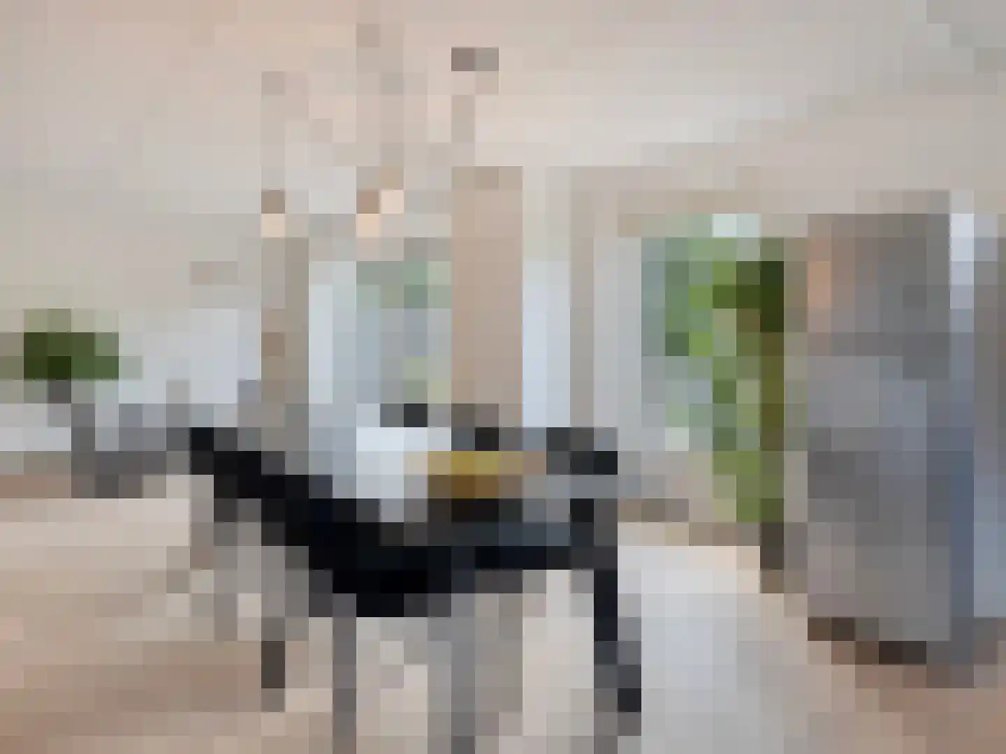 Lochemseberg 21 De Meern thumbnail 20