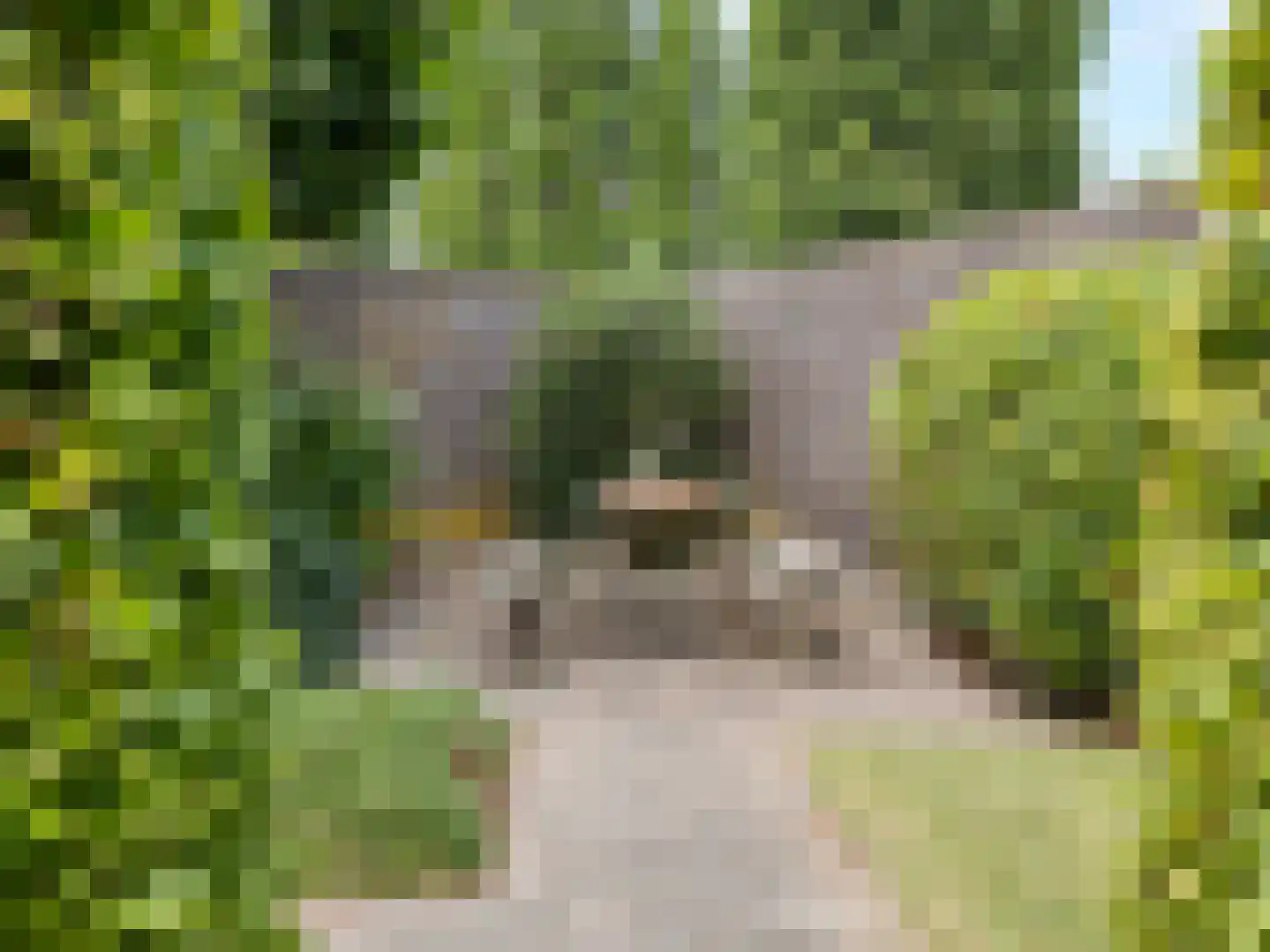 Lochemseberg 21 De Meern thumbnail 26