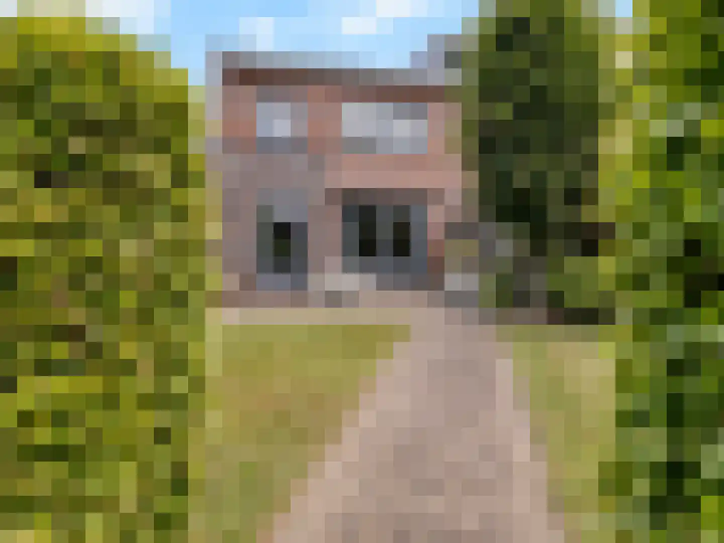 Lochemseberg 21 De Meern thumbnail 30