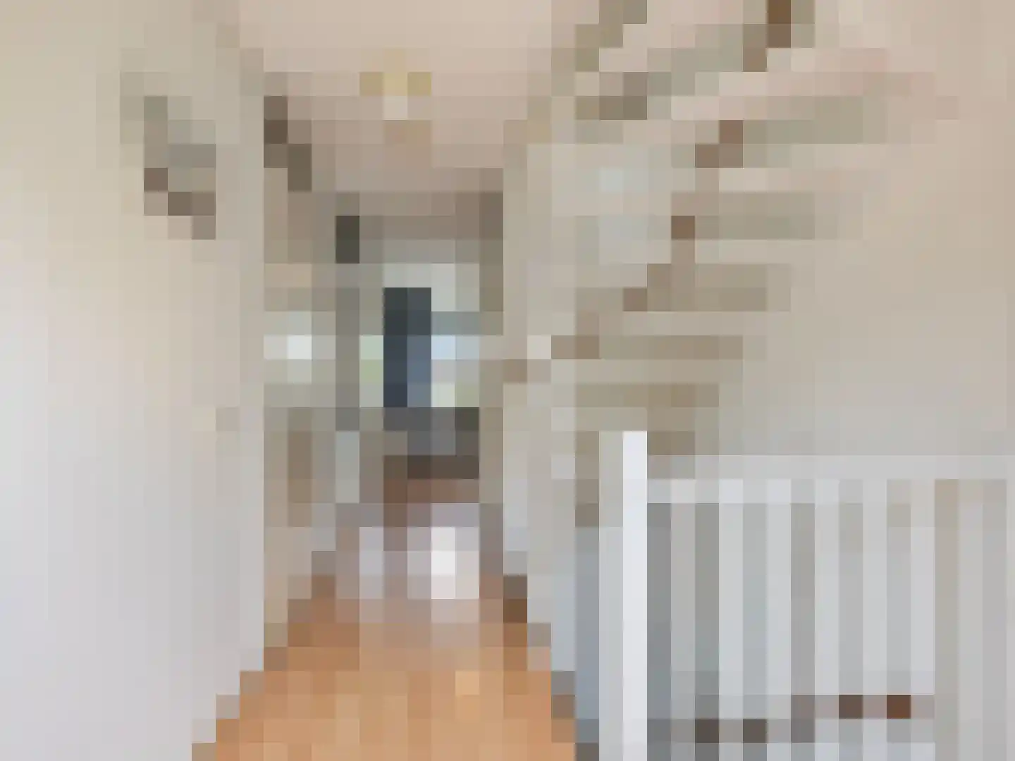 Lochemseberg 21 De Meern thumbnail 35
