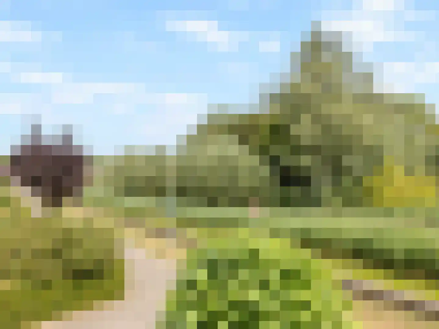 Lochemseberg 21 De Meern thumbnail 37