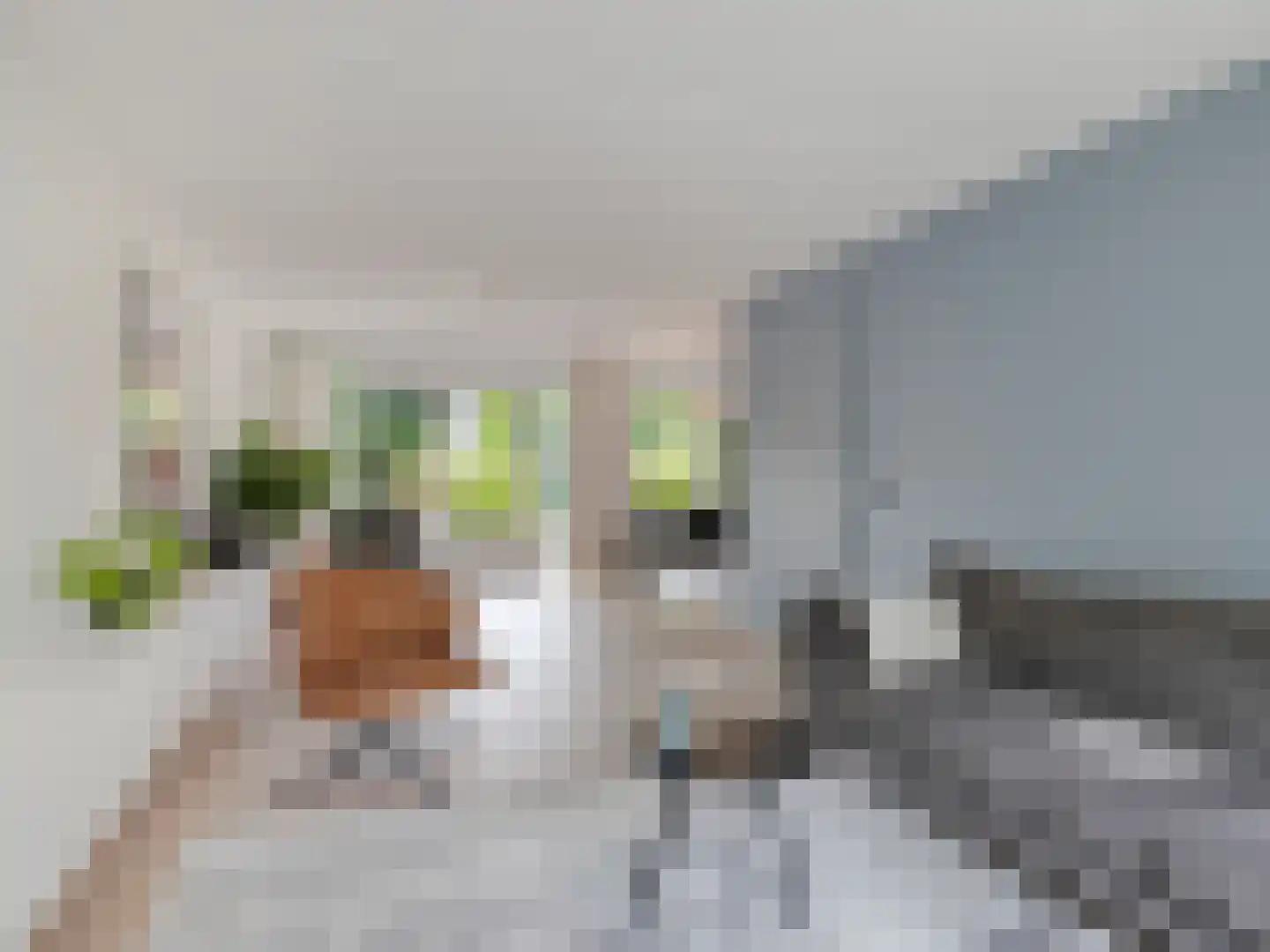 Lochemseberg 21 De Meern thumbnail 4