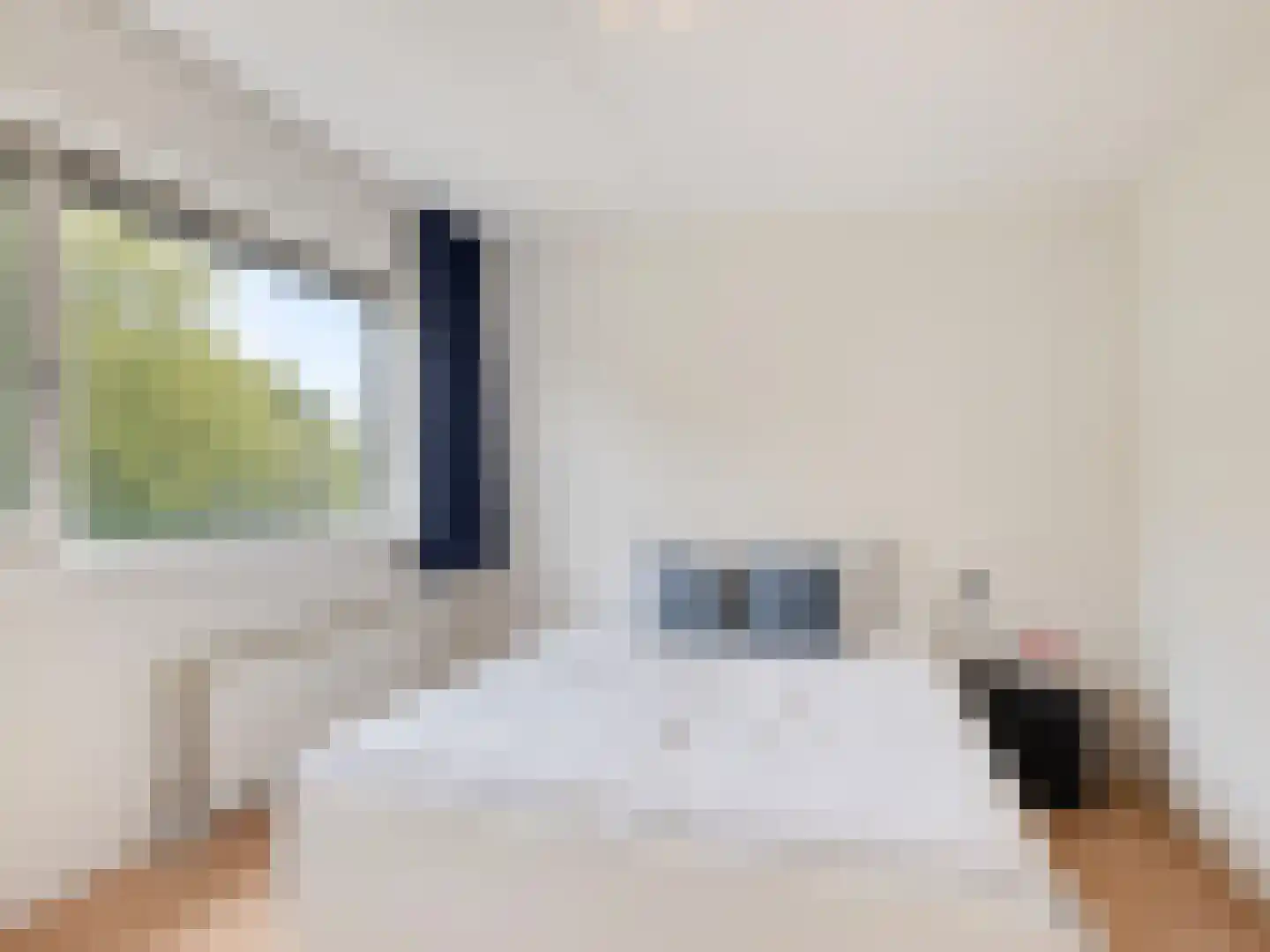 Lochemseberg 21 De Meern thumbnail 44