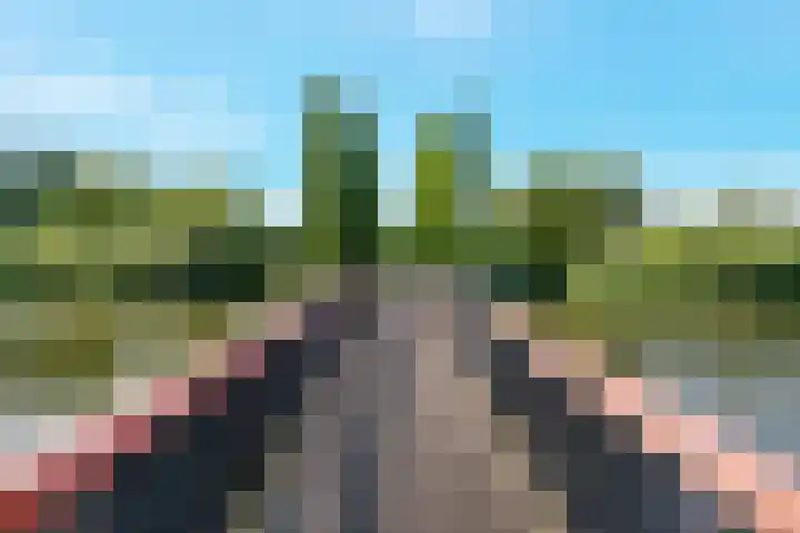 Lochemseberg 7 De Meern thumbnail 45