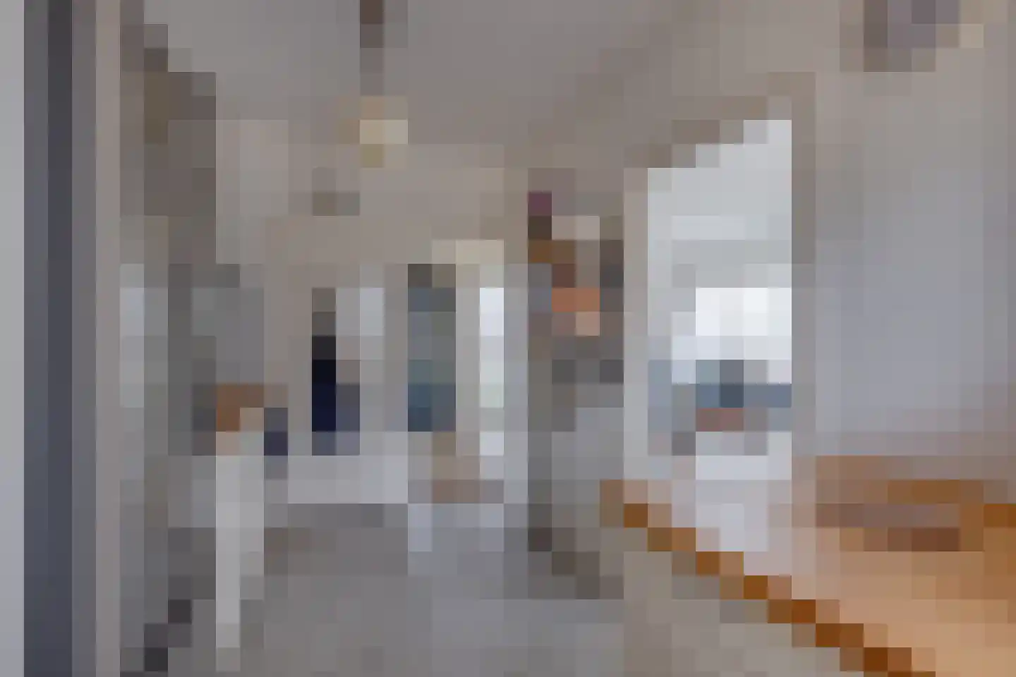 Lochemseweg 104 Harfsen thumbnail 19