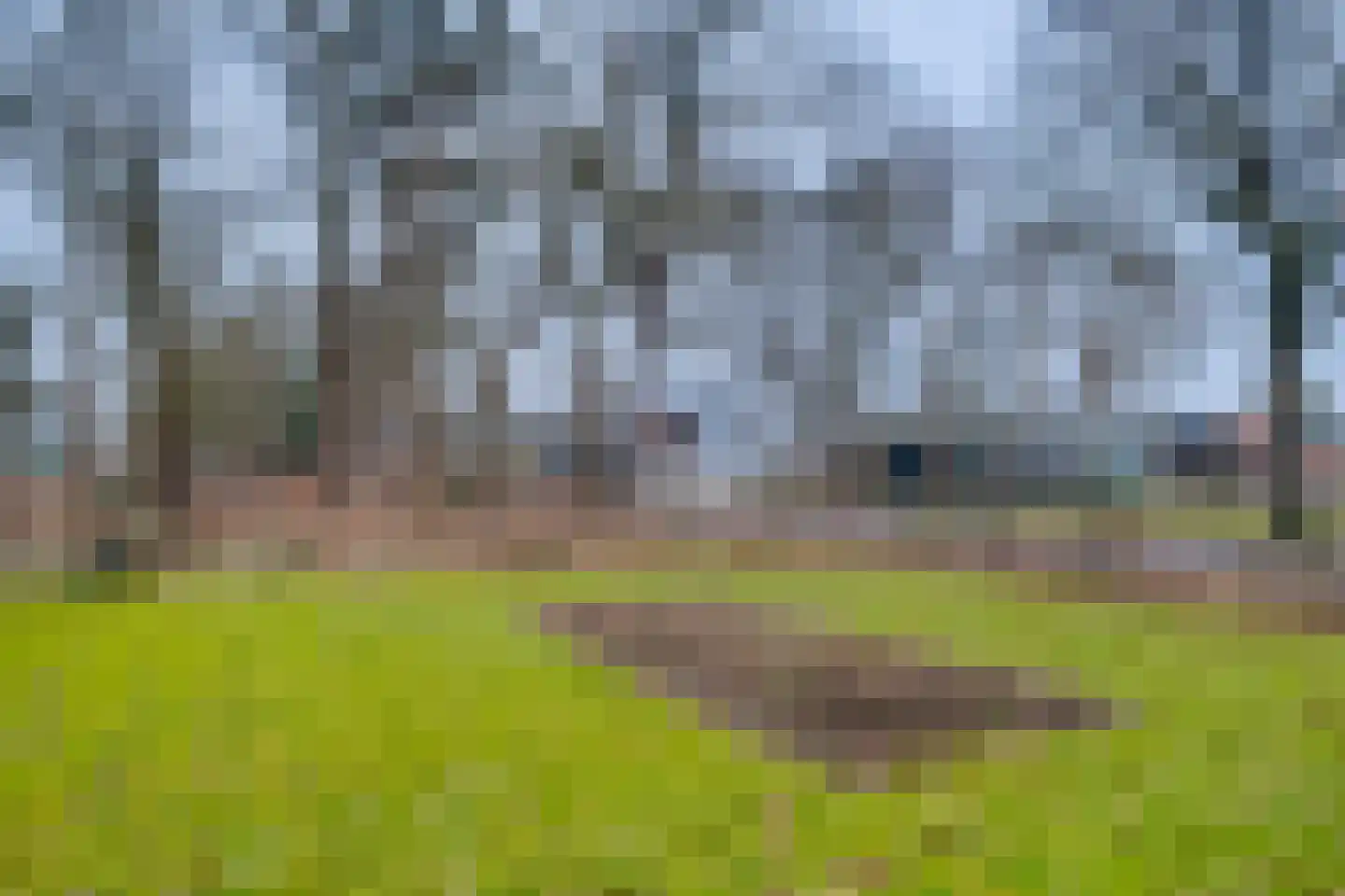 Lochemseweg 104 Harfsen thumbnail 35
