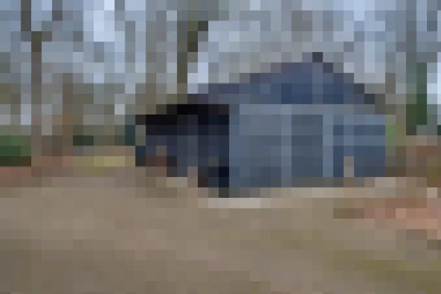 Lochemseweg 104 Harfsen thumbnail 39