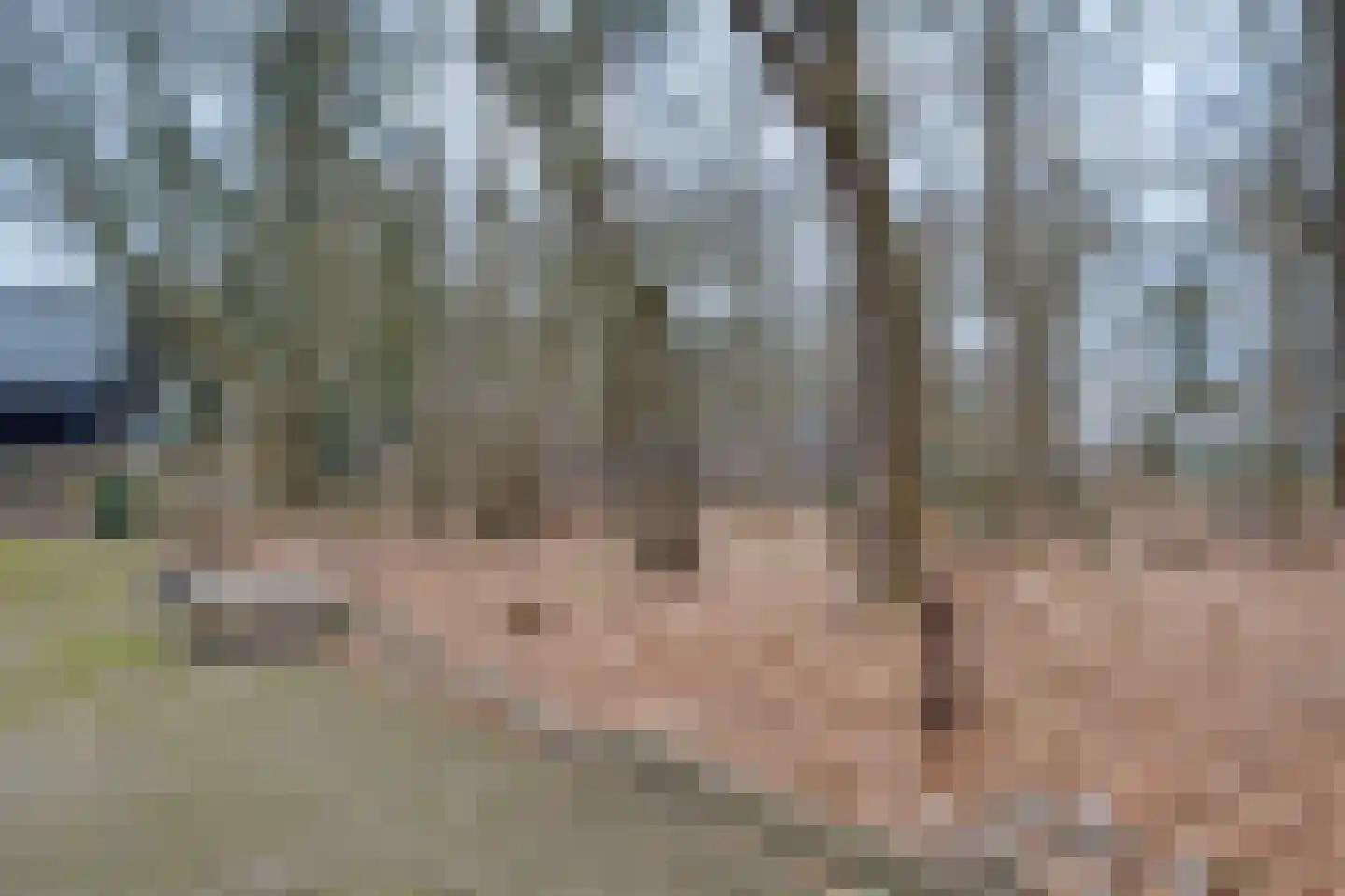 Lochemseweg 104 Harfsen thumbnail 46