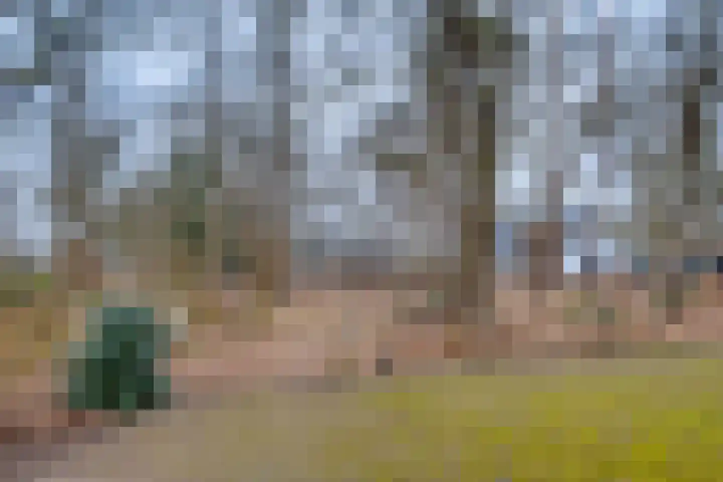 Lochemseweg 104 Harfsen thumbnail 47