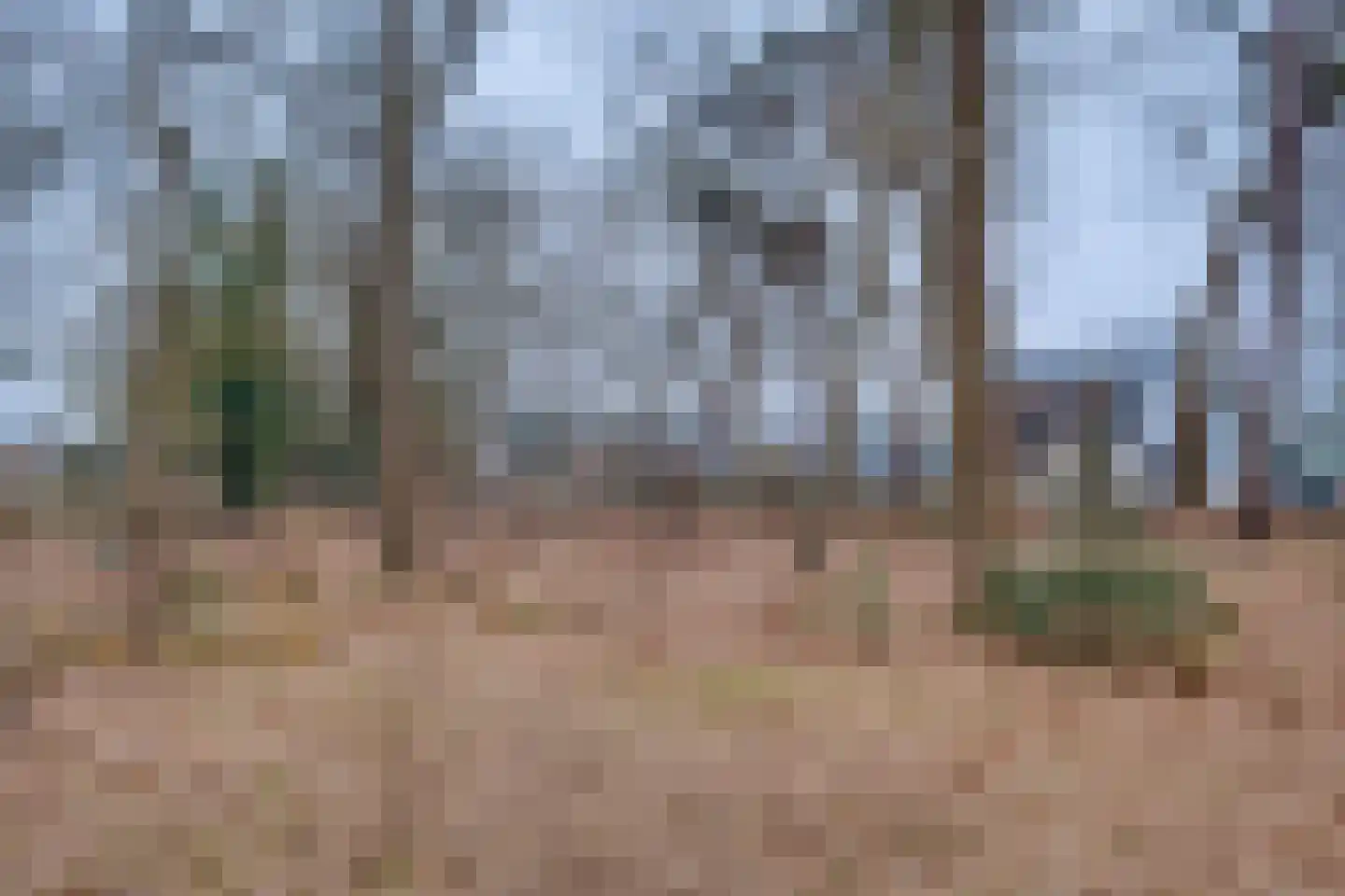 Lochemseweg 104 Harfsen thumbnail 48