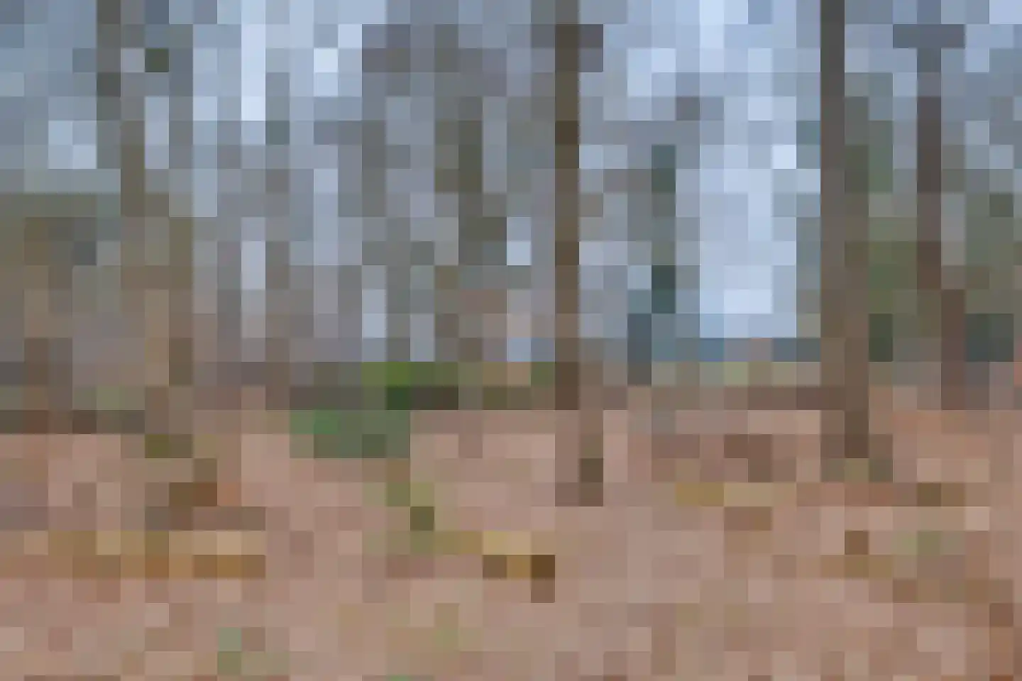 Lochemseweg 104 Harfsen thumbnail 49