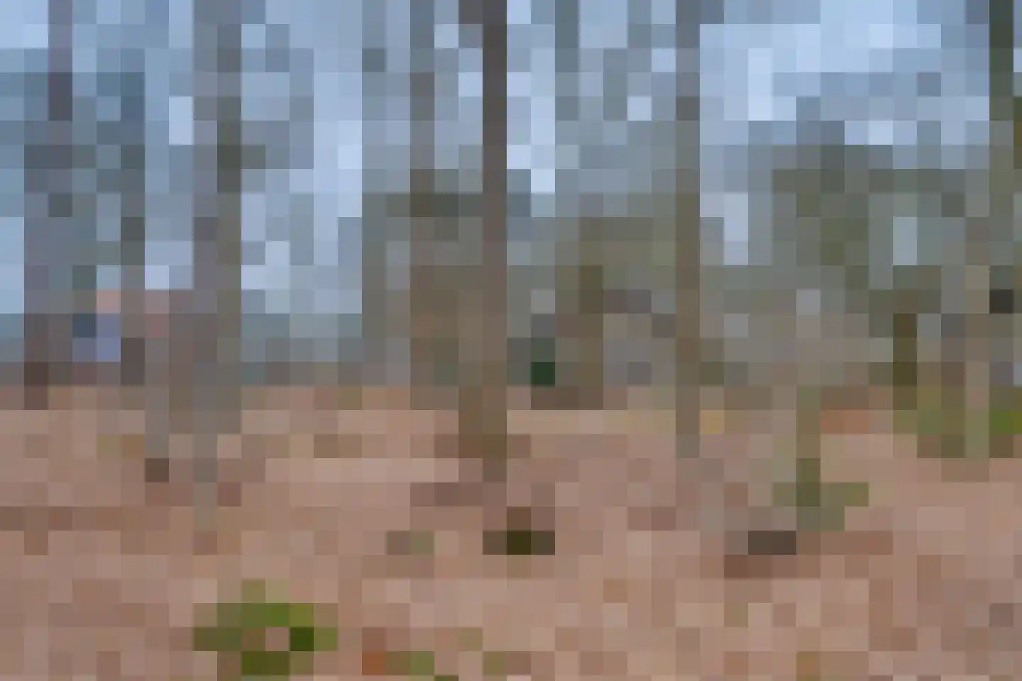 Lochemseweg 104 Harfsen thumbnail 50