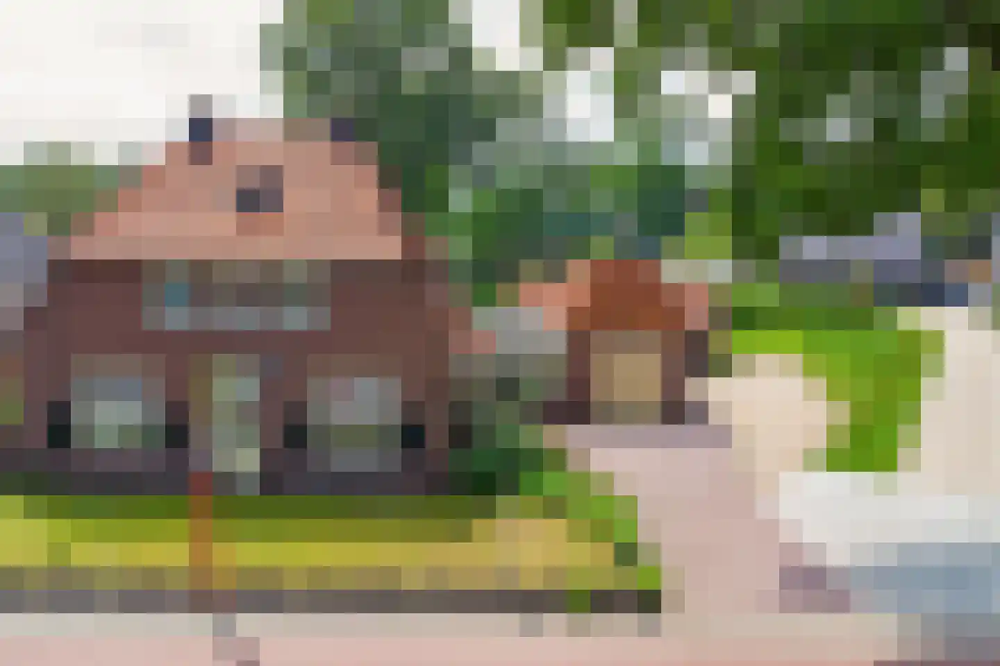 Lochemseweg 122 Harfsen thumbnail 32