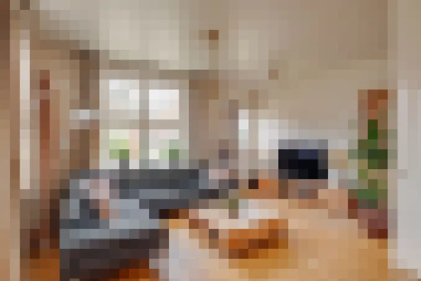 Lochemseweg 122 Harfsen thumbnail 4