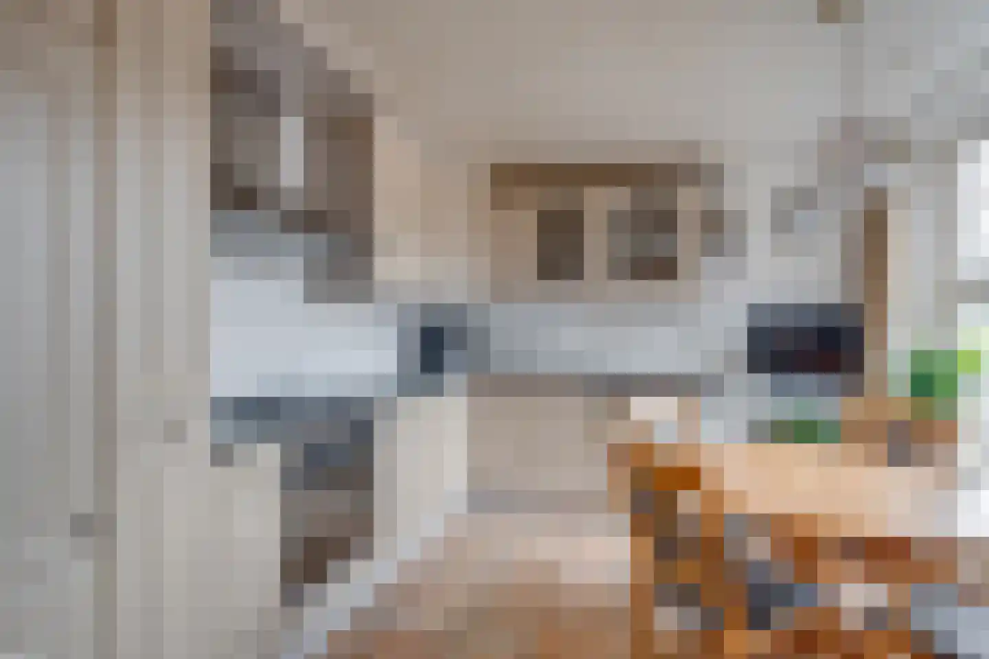 Lochemseweg 122 Harfsen thumbnail 8