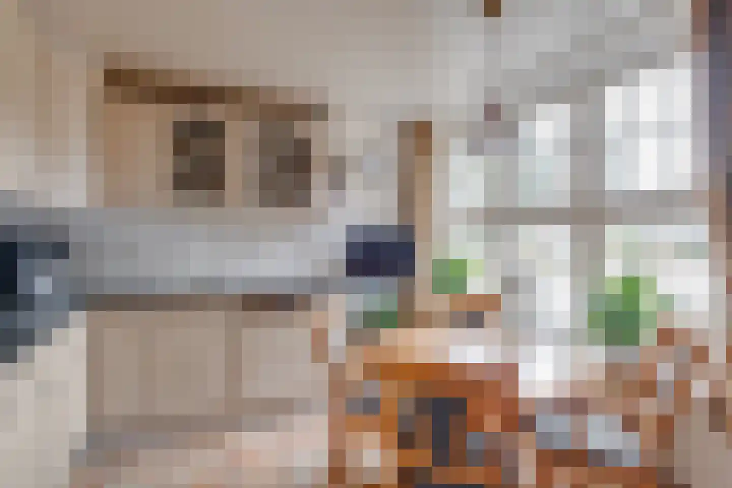 Lochemseweg 122 Harfsen thumbnail 9