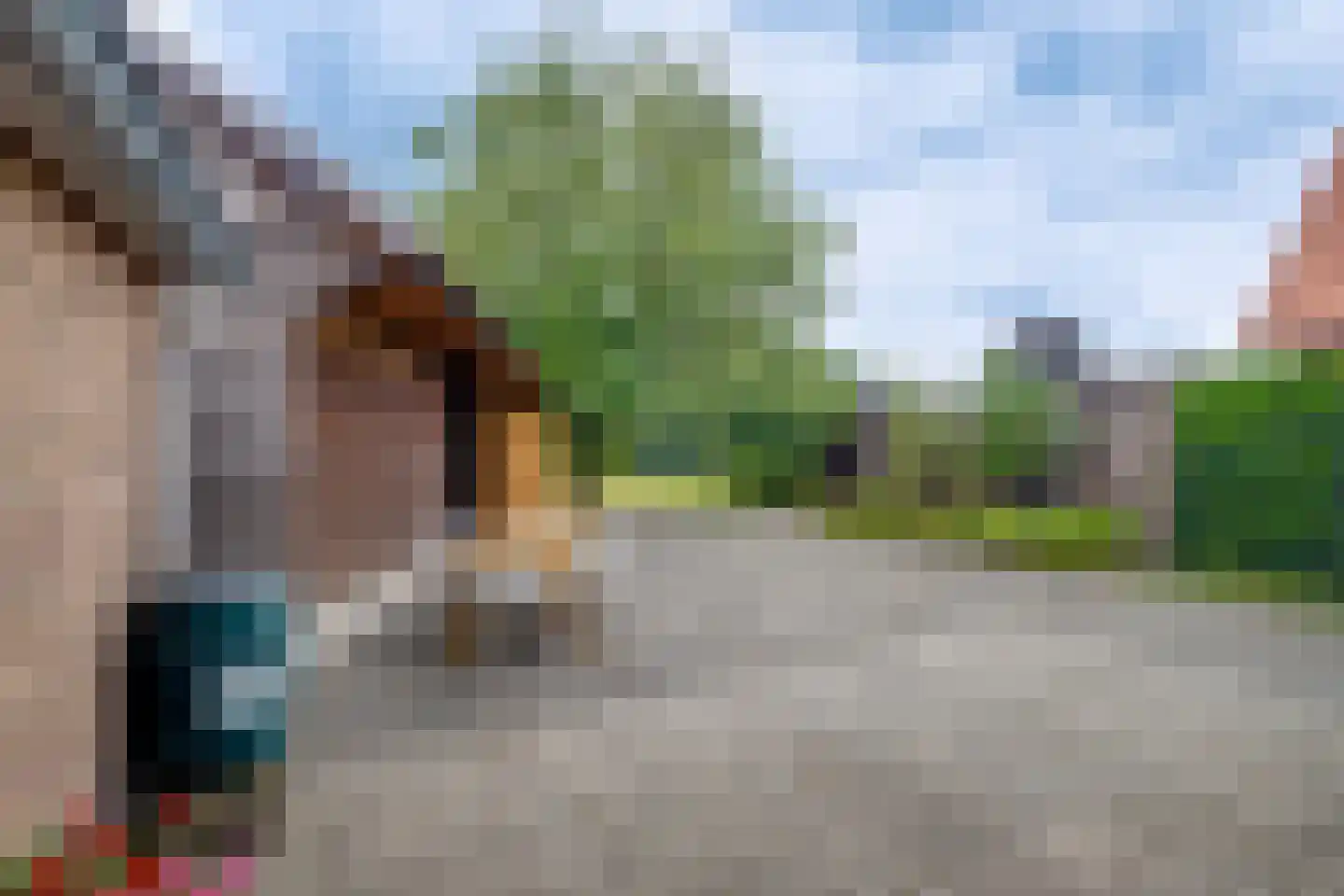 Lochemseweg 143 Harfsen thumbnail 18
