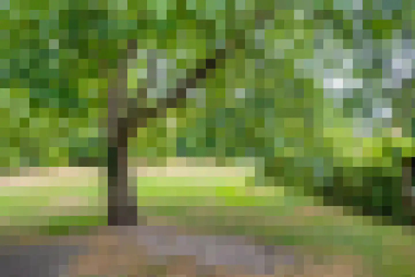 Lochemseweg 143 Harfsen thumbnail 20