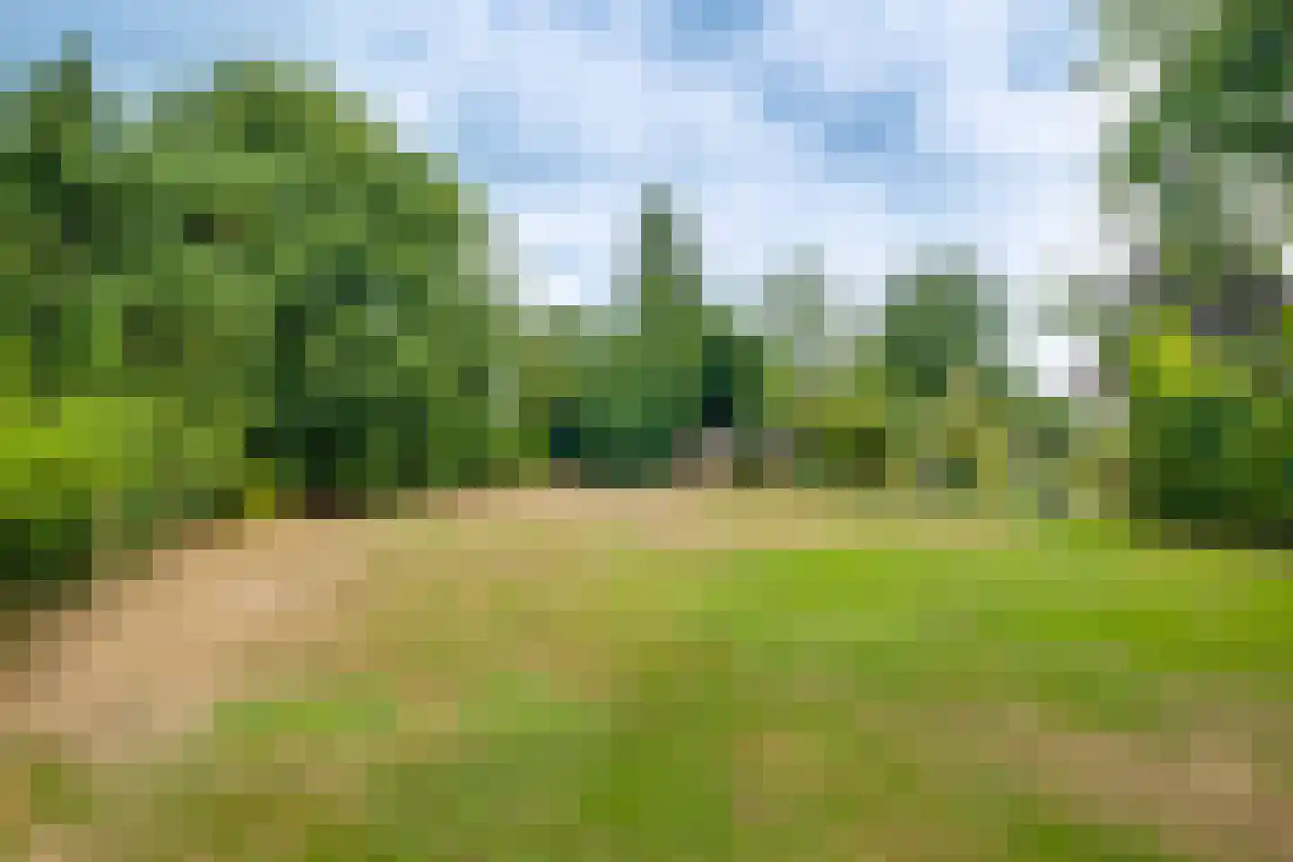 Lochemseweg 143 Harfsen thumbnail 21
