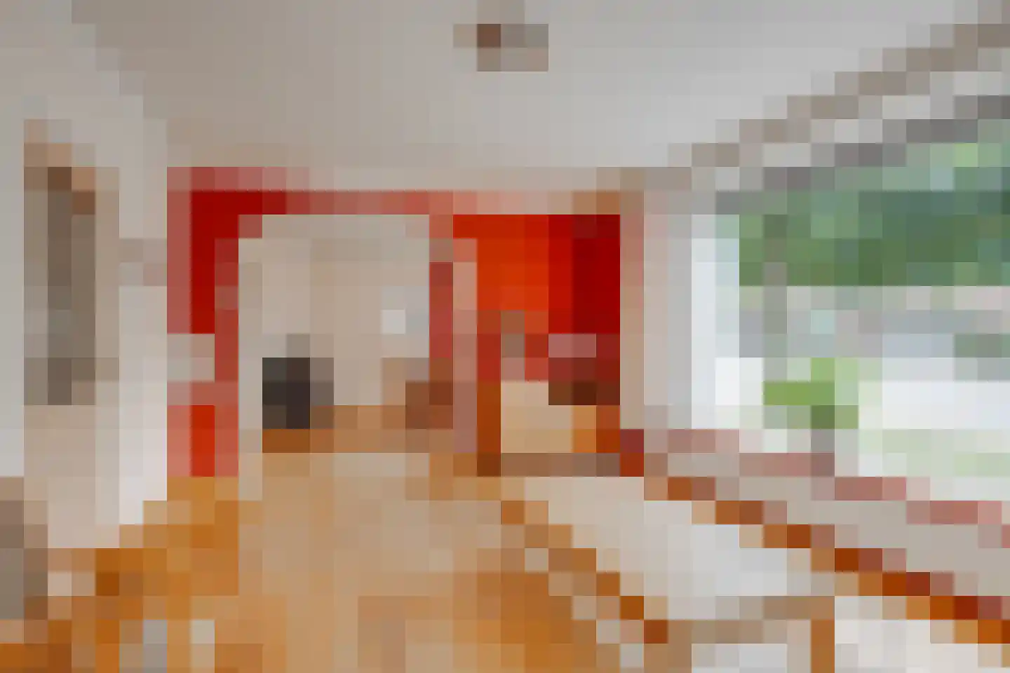 Lochemseweg 143 Harfsen thumbnail 6
