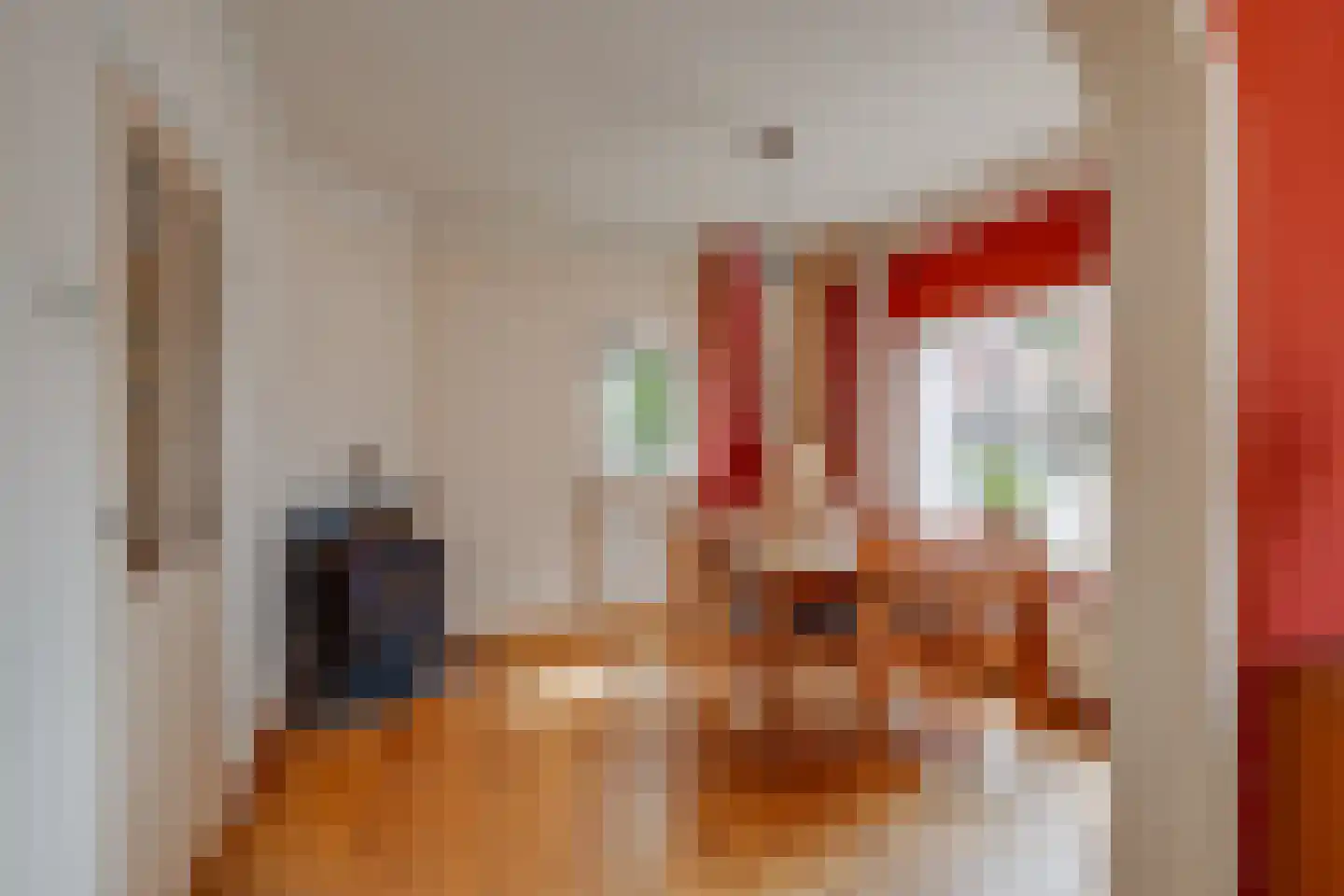 Lochemseweg 143 Harfsen thumbnail 7