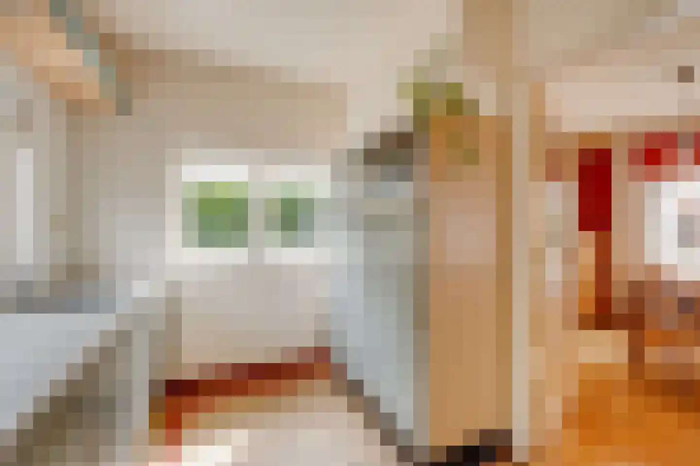 Lochemseweg 143 Harfsen thumbnail 9