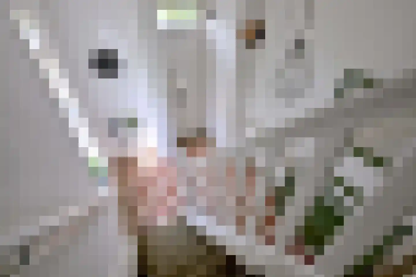 Lochemseweg 16 Epse thumbnail 29
