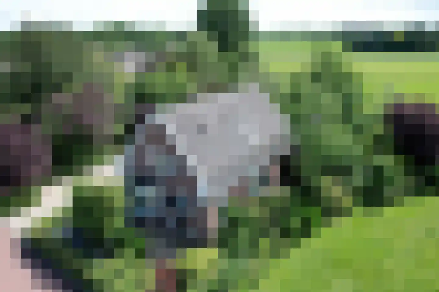 Lochemseweg 16 Epse thumbnail 4