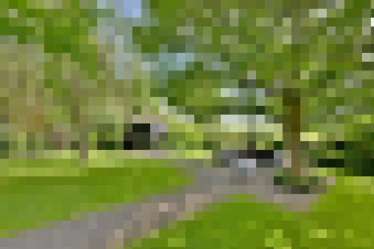 Lochemseweg 16 Epse thumbnail 46