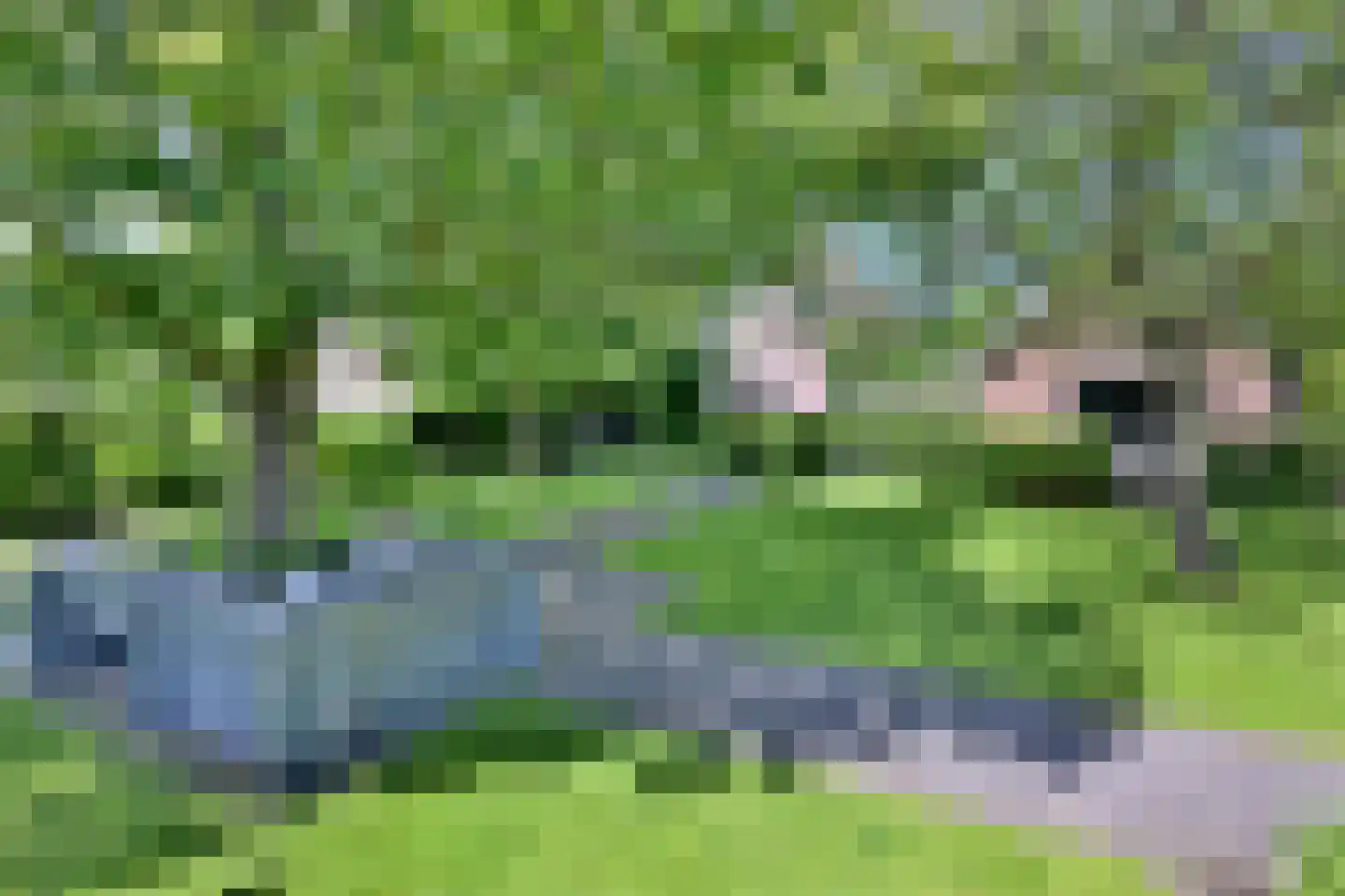 Lochemseweg 16 Epse thumbnail 48