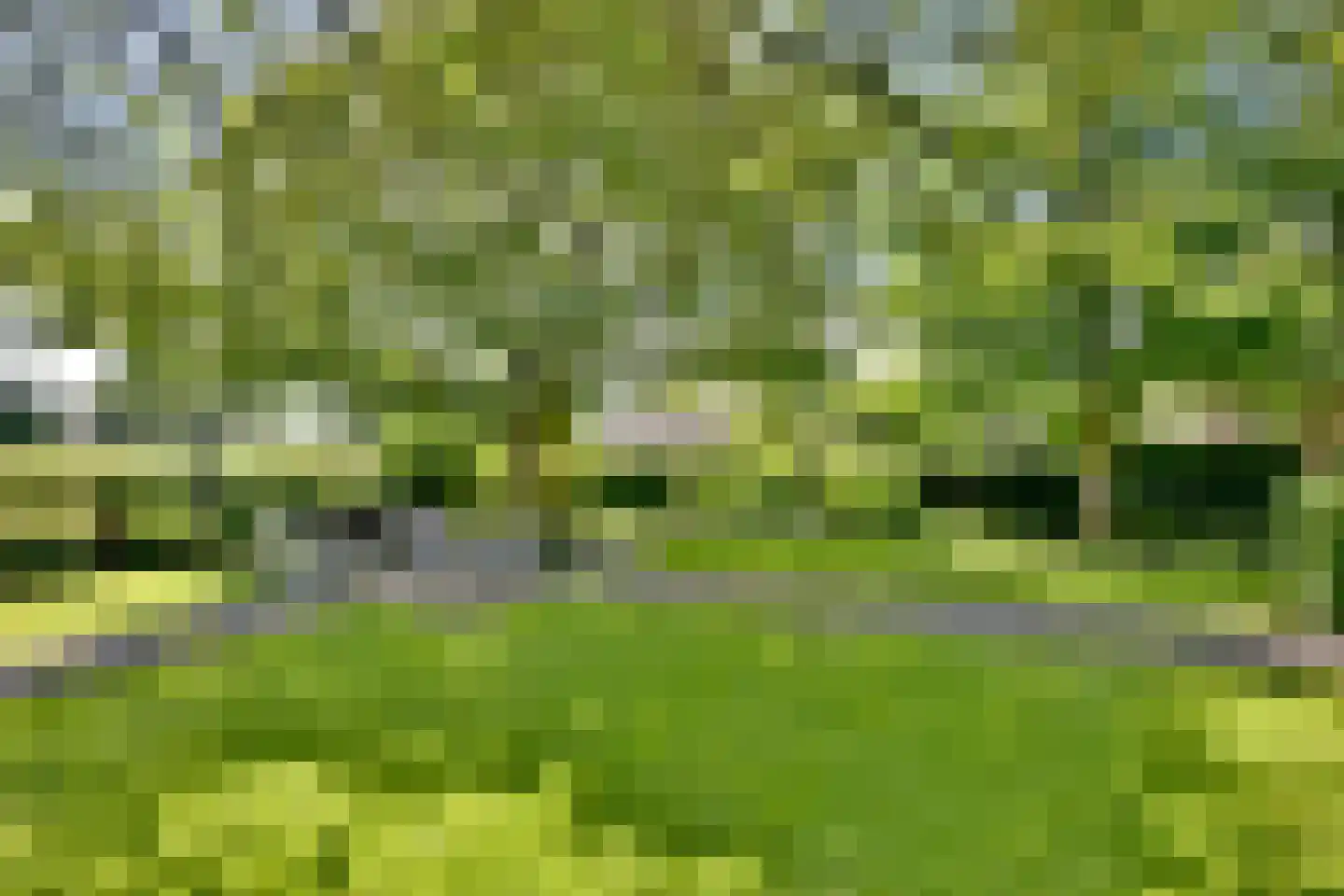 Lochemseweg 16 Epse thumbnail 49