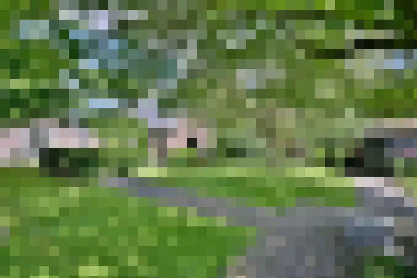 Lochemseweg 16 Epse thumbnail 50