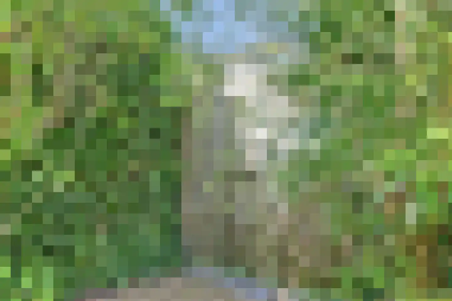 Lochemseweg 161 Harfsen thumbnail 30