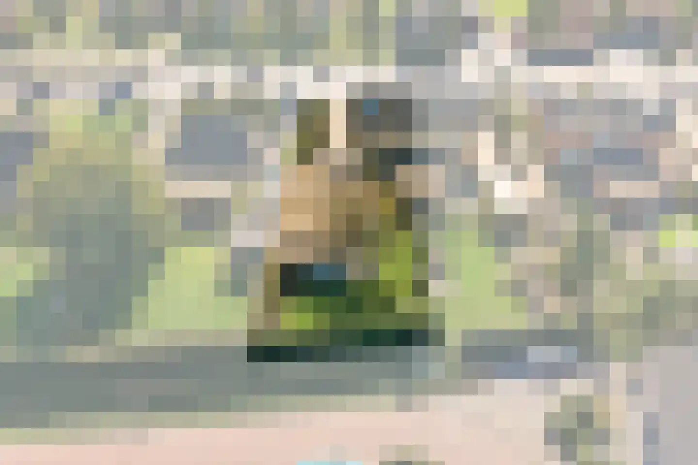 Lochemseweg 161 Harfsen thumbnail 4