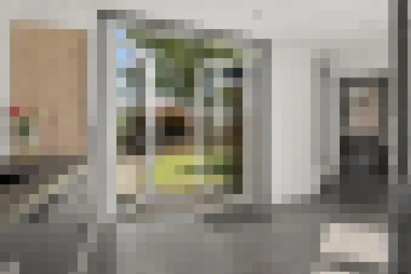 Lochemseweg 171 Harfsen thumbnail 22