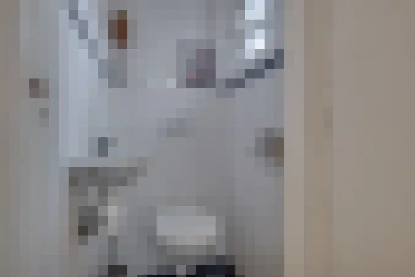 Lochemseweg 2 Borculo thumbnail 13