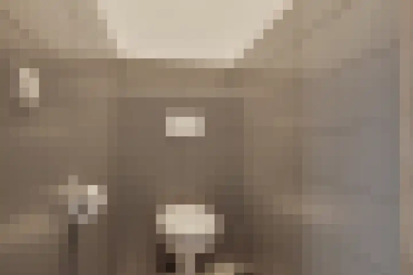 Lochemseweg 2 Borculo thumbnail 34