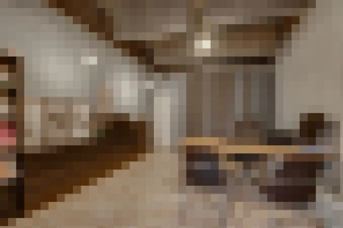 Lochemseweg 2 Borculo thumbnail 35